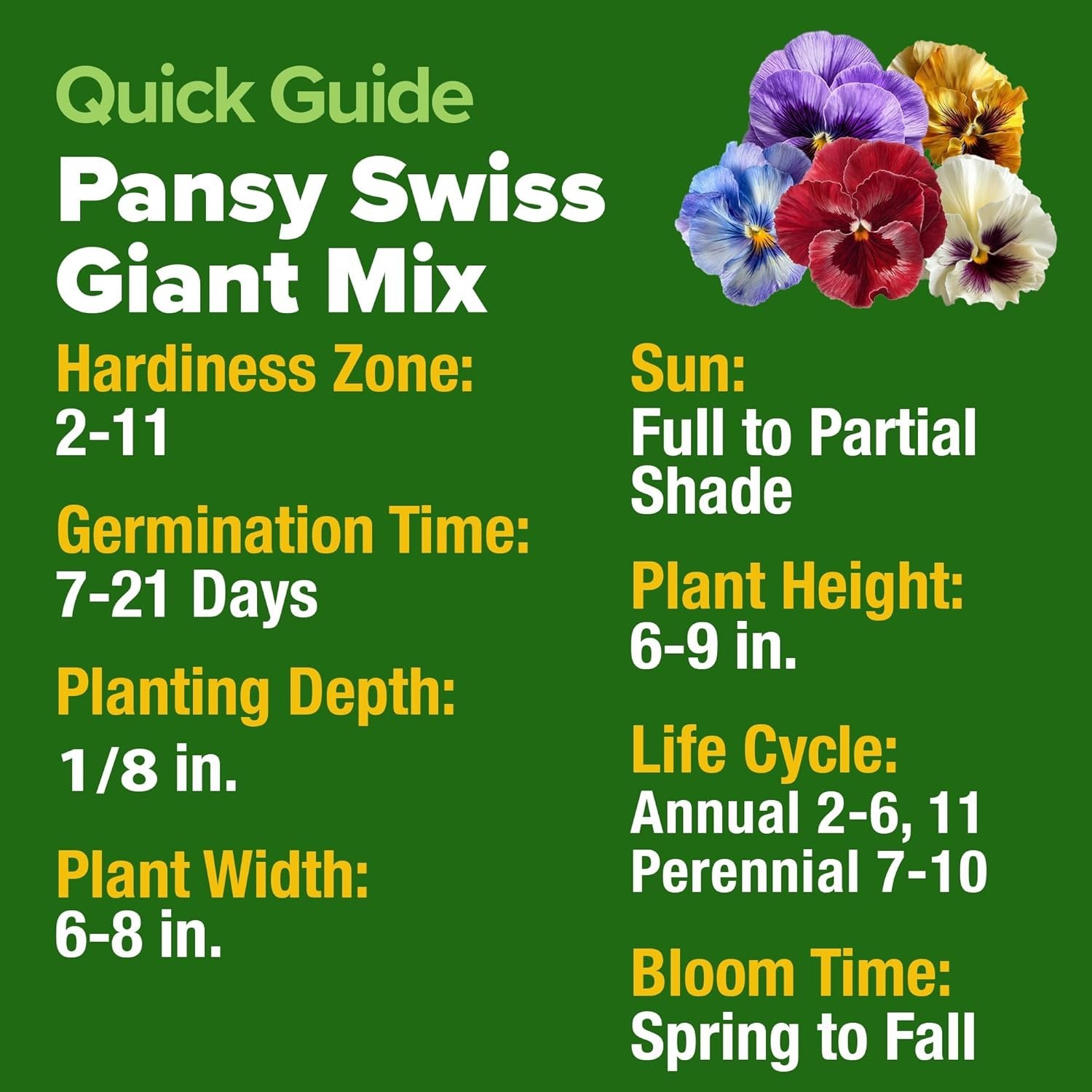 Grow 1,500 Pansy Seeds – Beginner-Friendly Edible Gardens for -Round Beauty