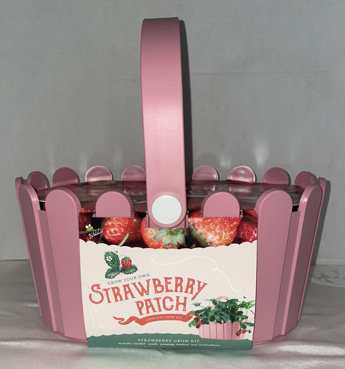 Buzzy Strawberry Patch Complete Grow Kit NEW