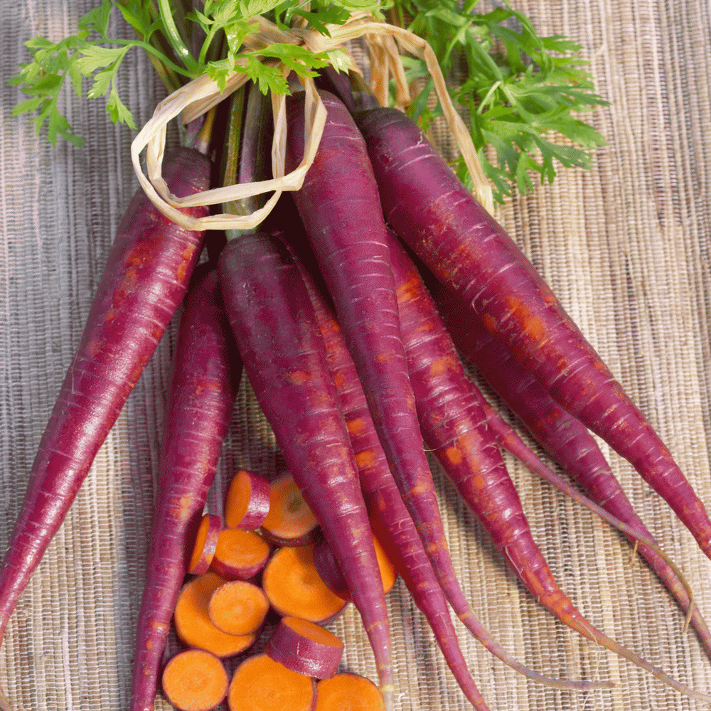Carrot Seeds: Cosmic Purple Carrot Seeds Fresh Seeds