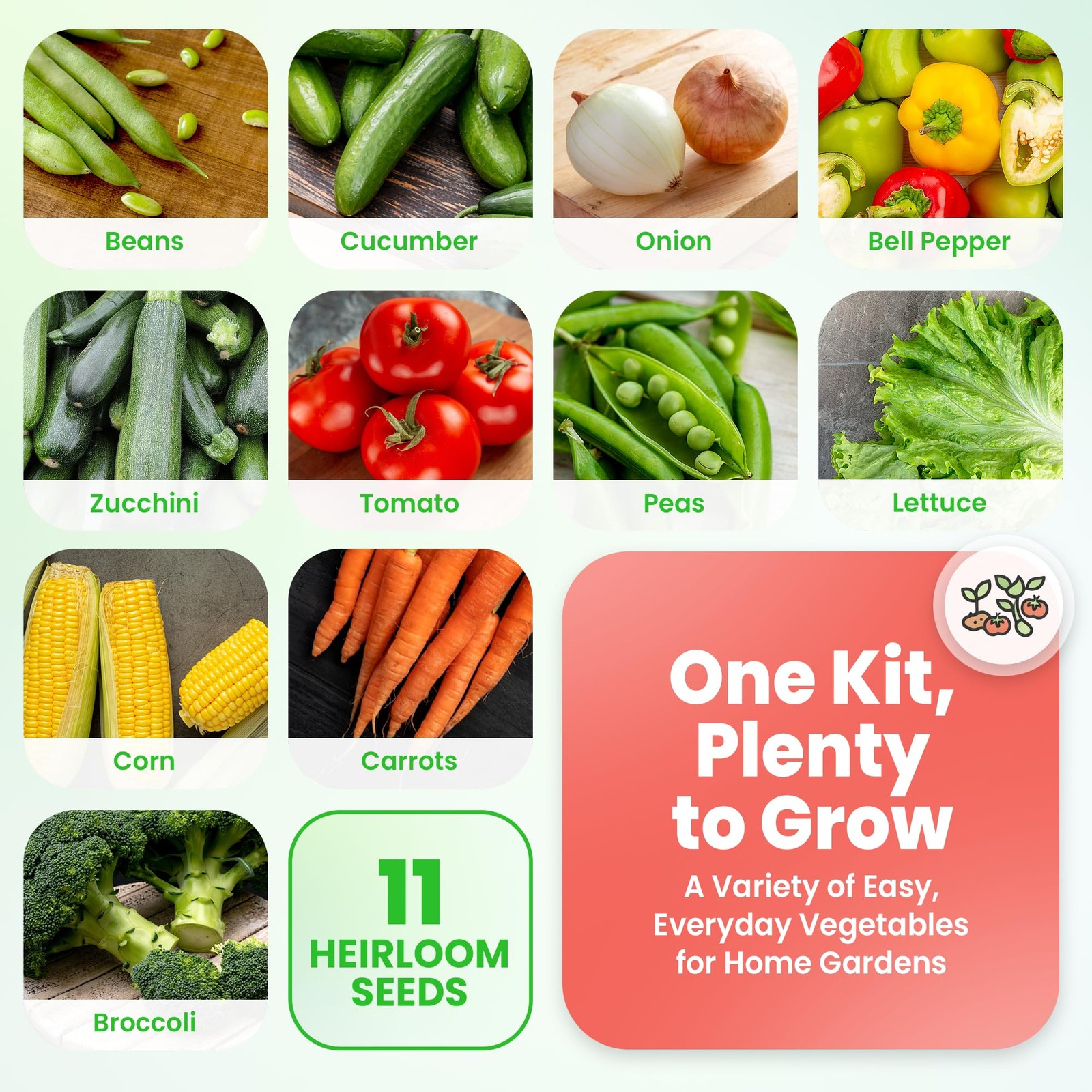 “11 Heirloom Seeds Variety Pack for Home Garden, Survival & Doomsday Prep”