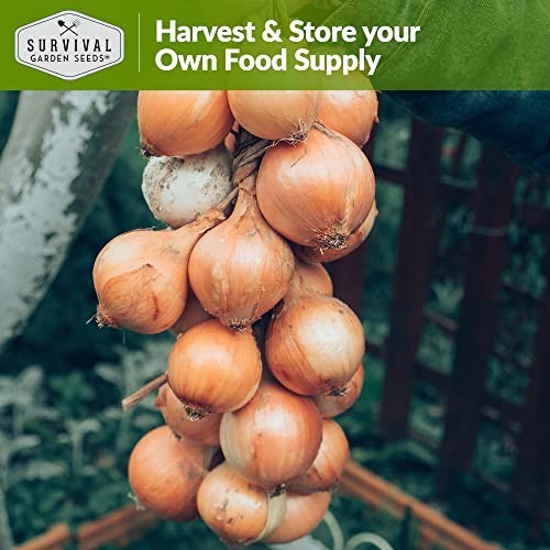Walla Walla Sweet Onion Seeds for Planting – Long Day Yellow Sweet Onions 2