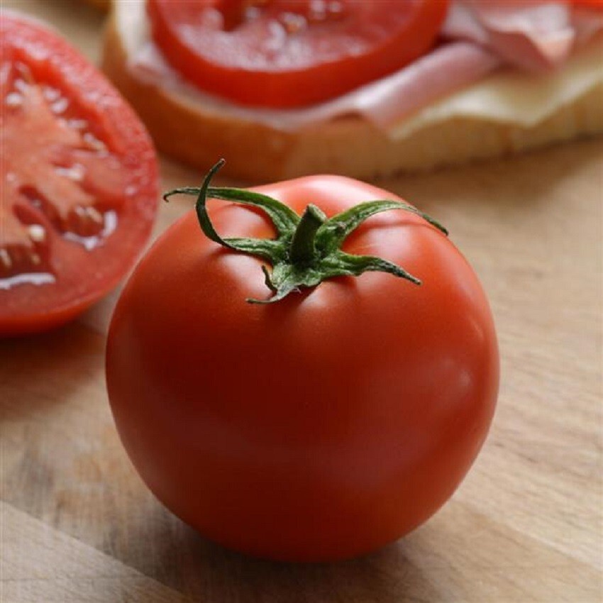 25 Stellar Tomato Seeds Slicing Tomato Hybrid F1 Variety
