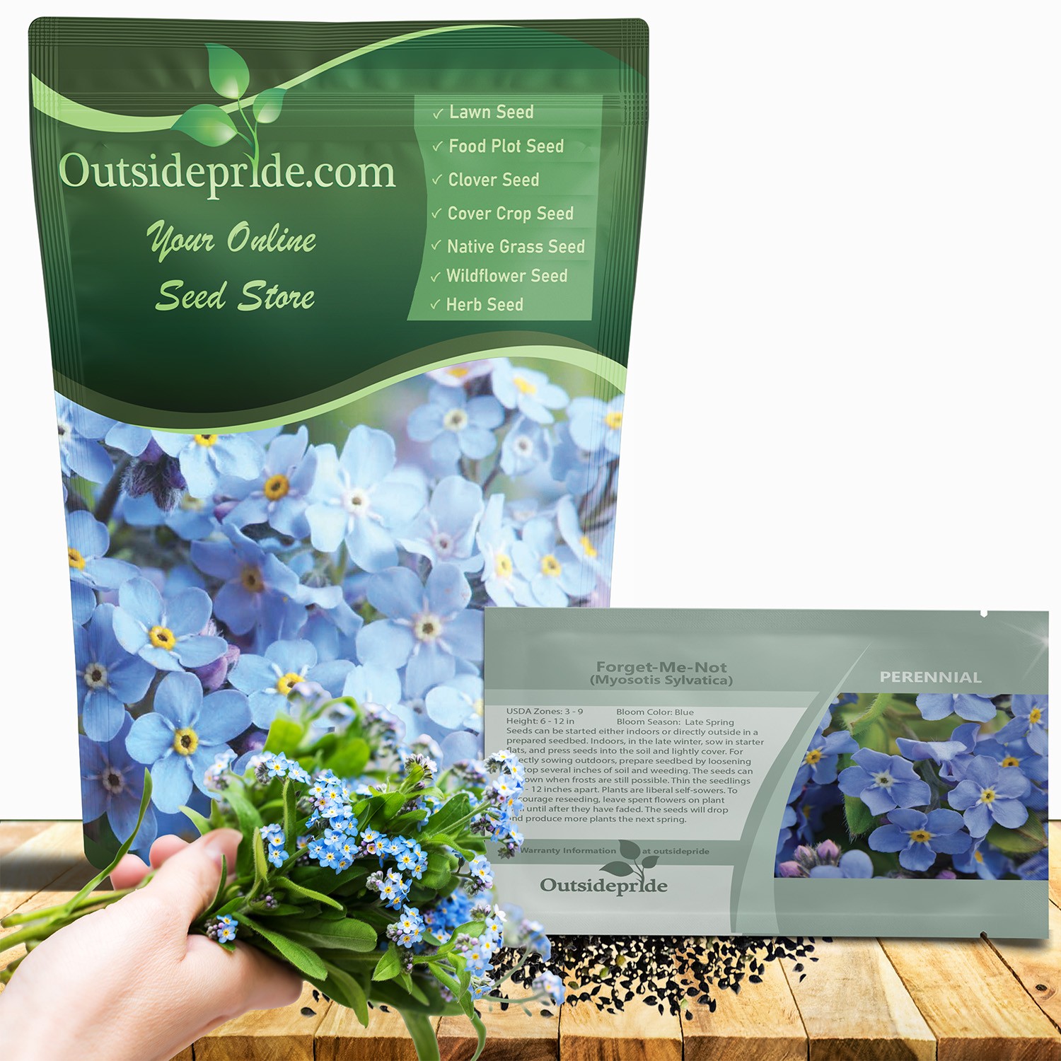 5000 Seeds Sky Blue Forget Me Not Seed For Planting – Myosotis Sylvatica