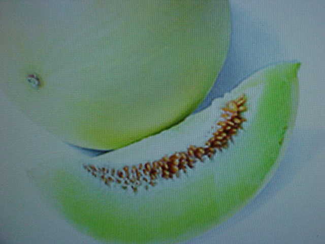 ORGANIC SWEET JUICY DELIGHT – HONEY DEW – MELON SEEDS