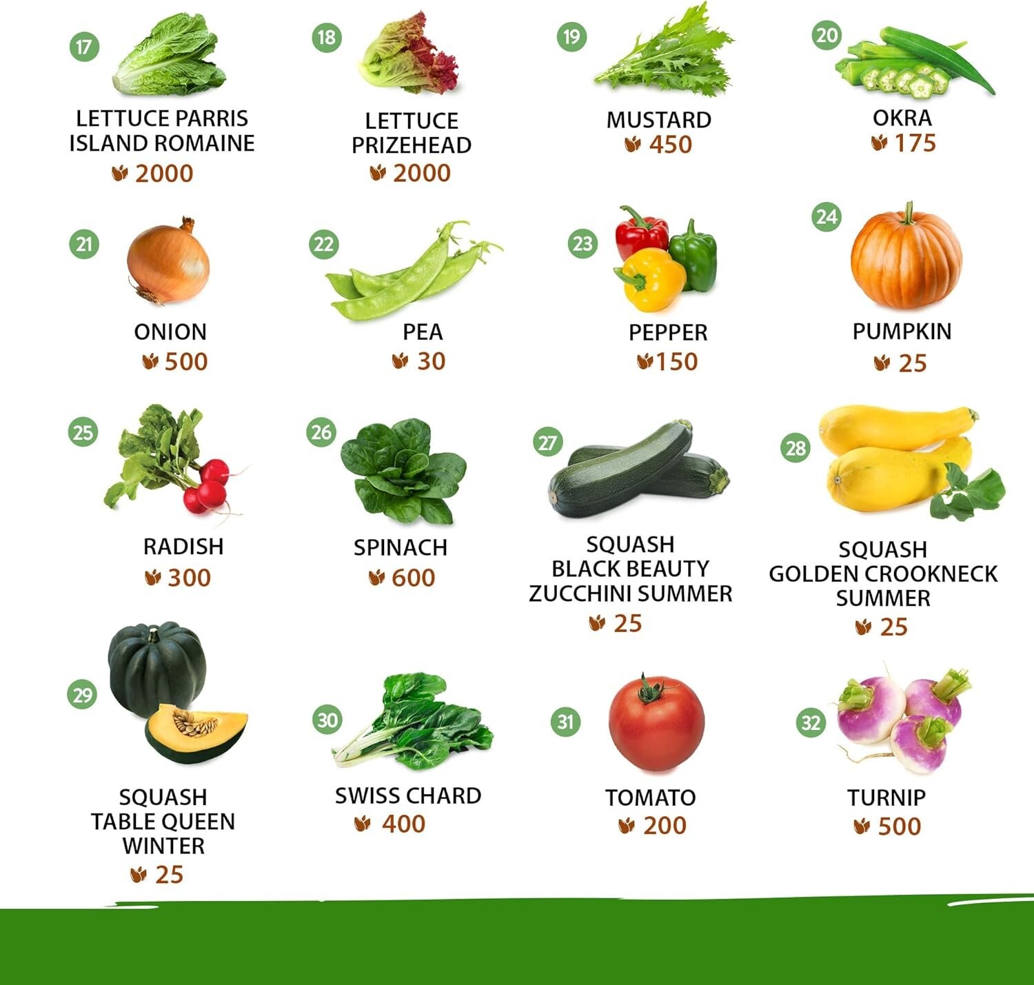 Vegetable Seeds Heirloom Non-GMO Garden Pack 16,000+ for Home Survival