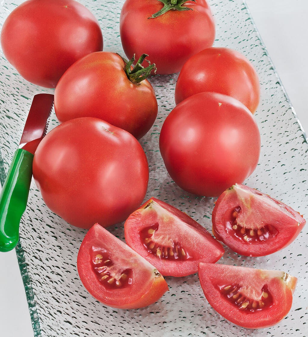 Early Girl Plus Tomato: 10 Seeds