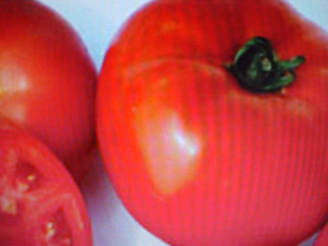 100 SEEDS LARGE RED BEEFSTEAK VEGETABLE TOMATO SEEDS 12-16 OUNCE SIZE