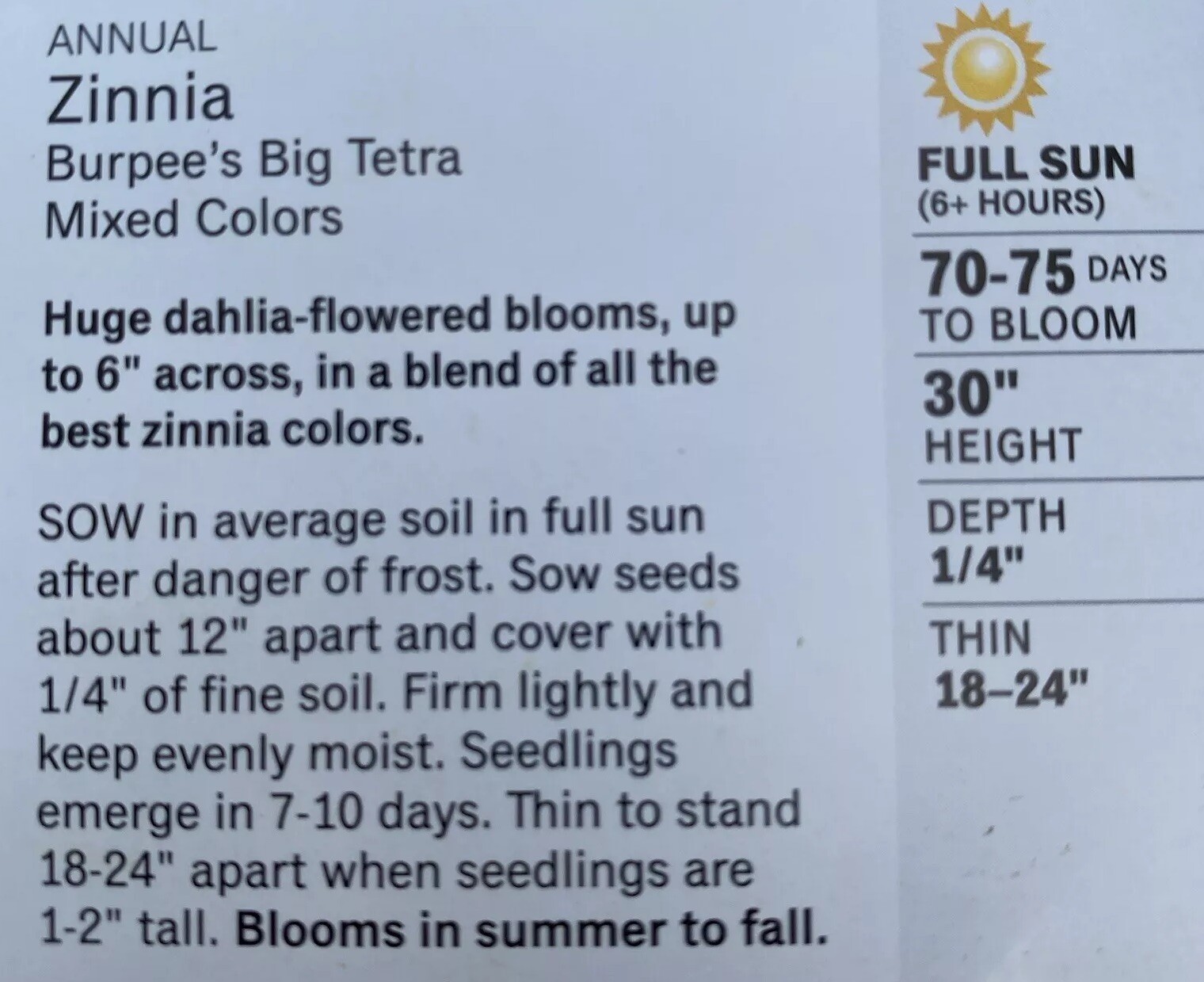 BURPEE – ZINNIA BURPEE’S BIG TETRA MIXED COLORS