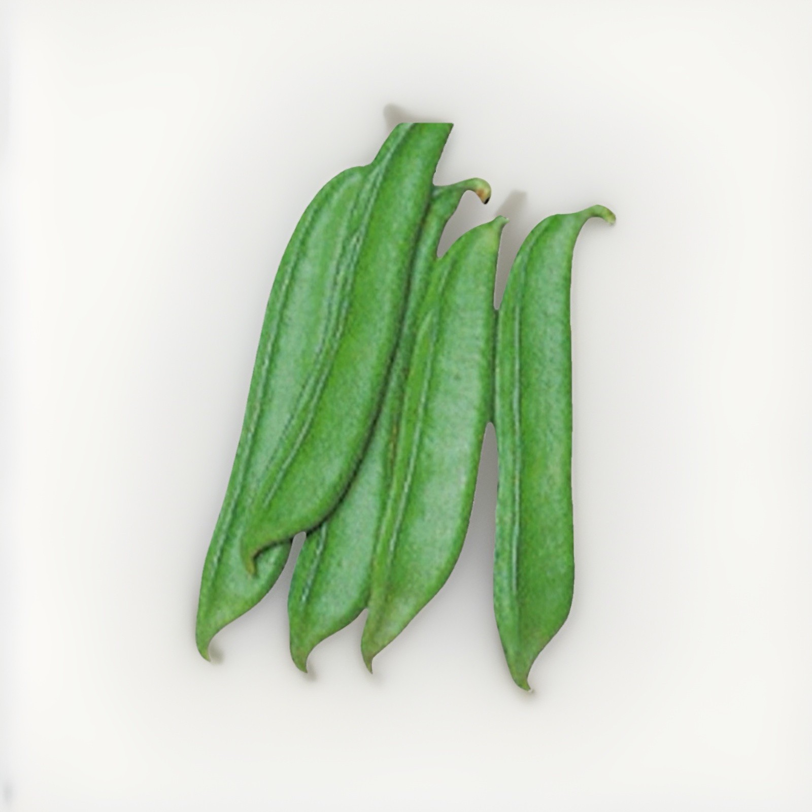 Jack Bean || Sword Bean || Mou Seem 6 Seeds For Planting