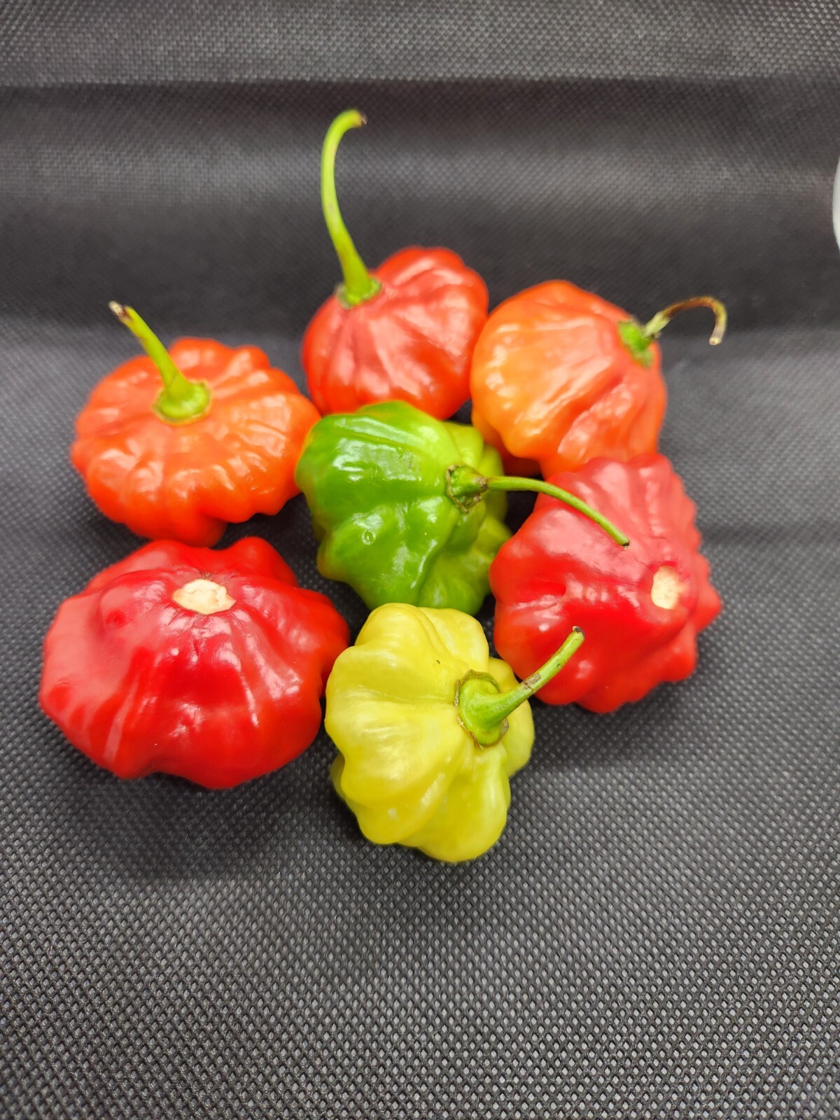 Seeds from Puerto Rico, Organic, NON-GMO, Sofrito, garden, hydroponic, aji dulce