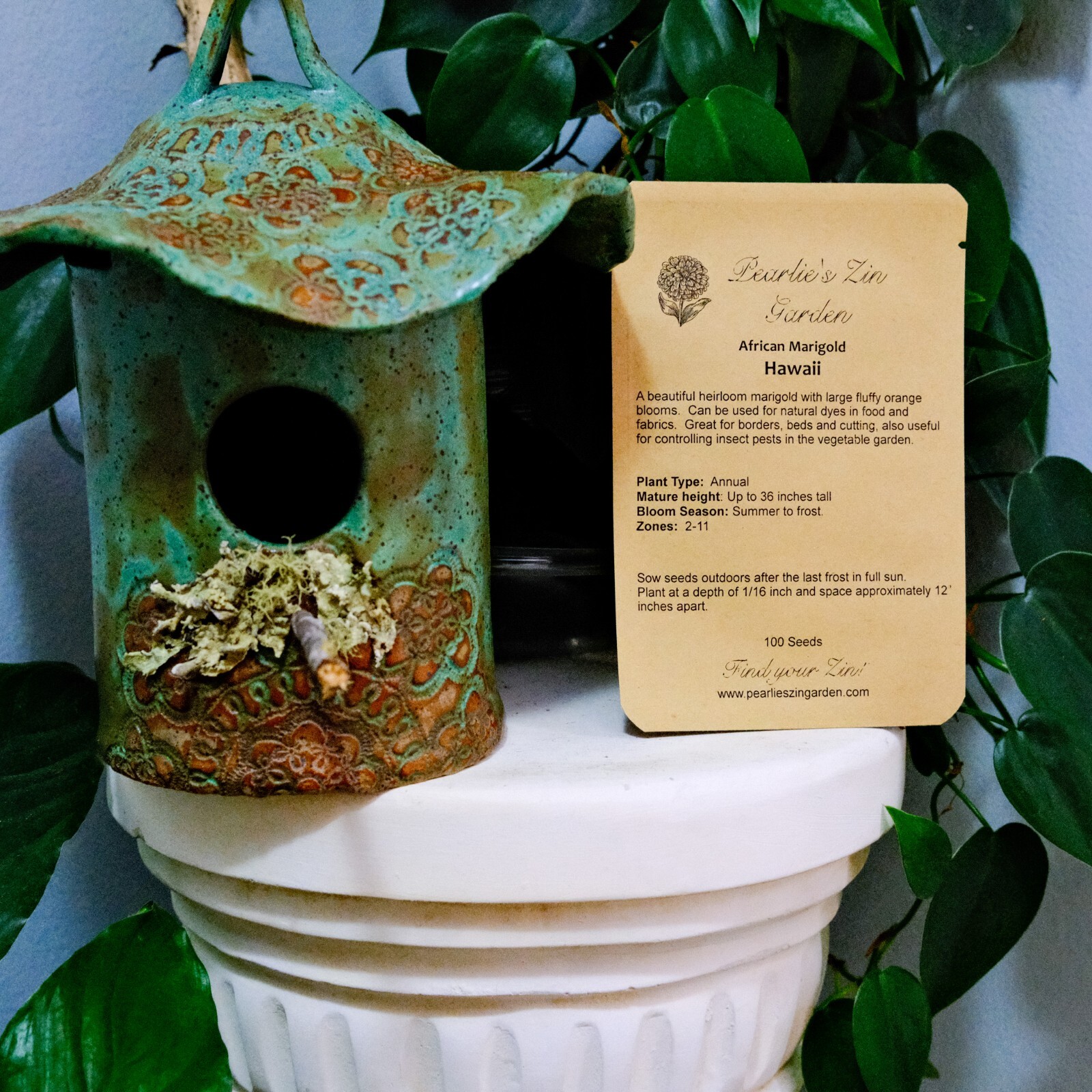 African Marigold Seeds – Hawaii, 100 Seeds, Open Pollinated, Non-GMO