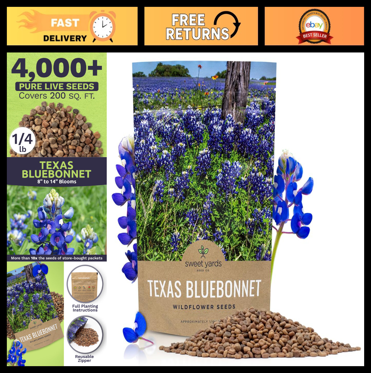 Texas Bluebonnet Wildflower Seeds – 1/4 lb Bulk, 4000+ Native Seeds, State Flowe