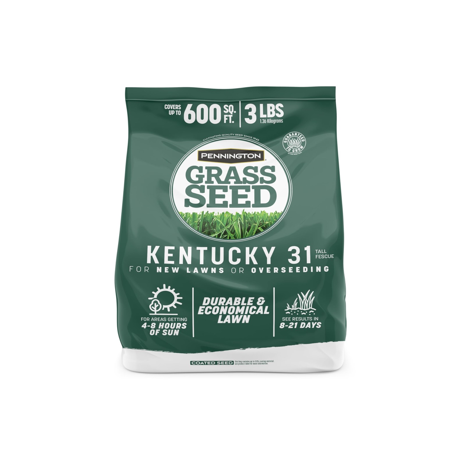 Kentucky 31 Fescue 3 LB Tall Fescue Grass Seed, Grass Seeds for Lawn