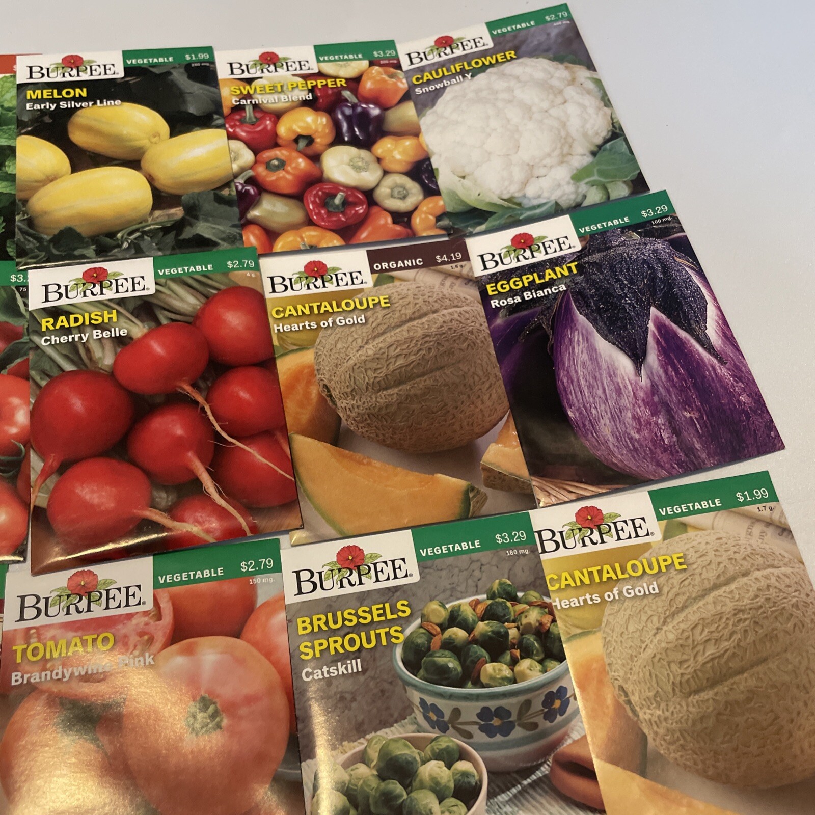 Garden Seeds Lot of 22 Packs of Burpee Vegetable & Herbs Dated 2021
