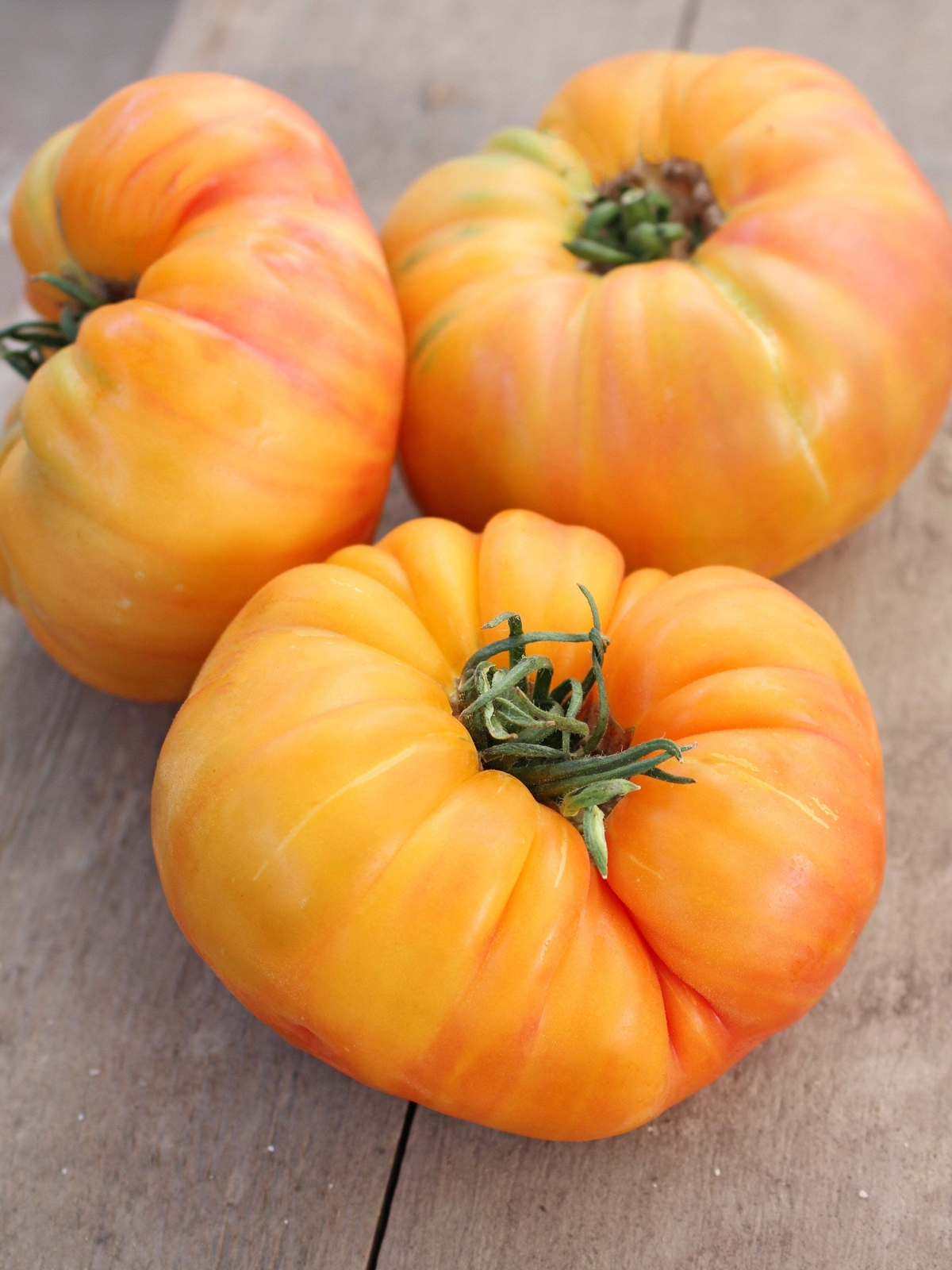 50 PINEAPPLE TOMATO Heirloom Beefsteak Indeterminate Solanum Fruit Vegetable See