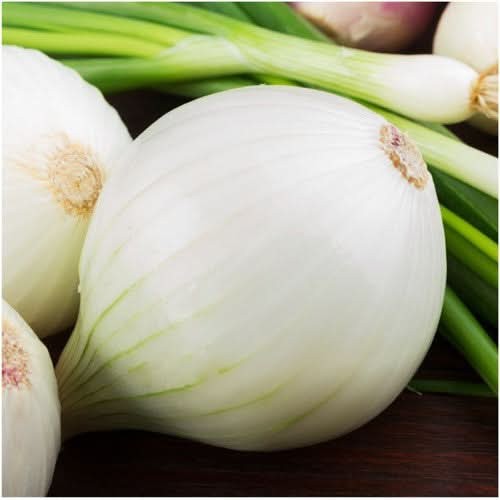 White Sweet Spanish Onion Seeds For Planting (Allium cepa)