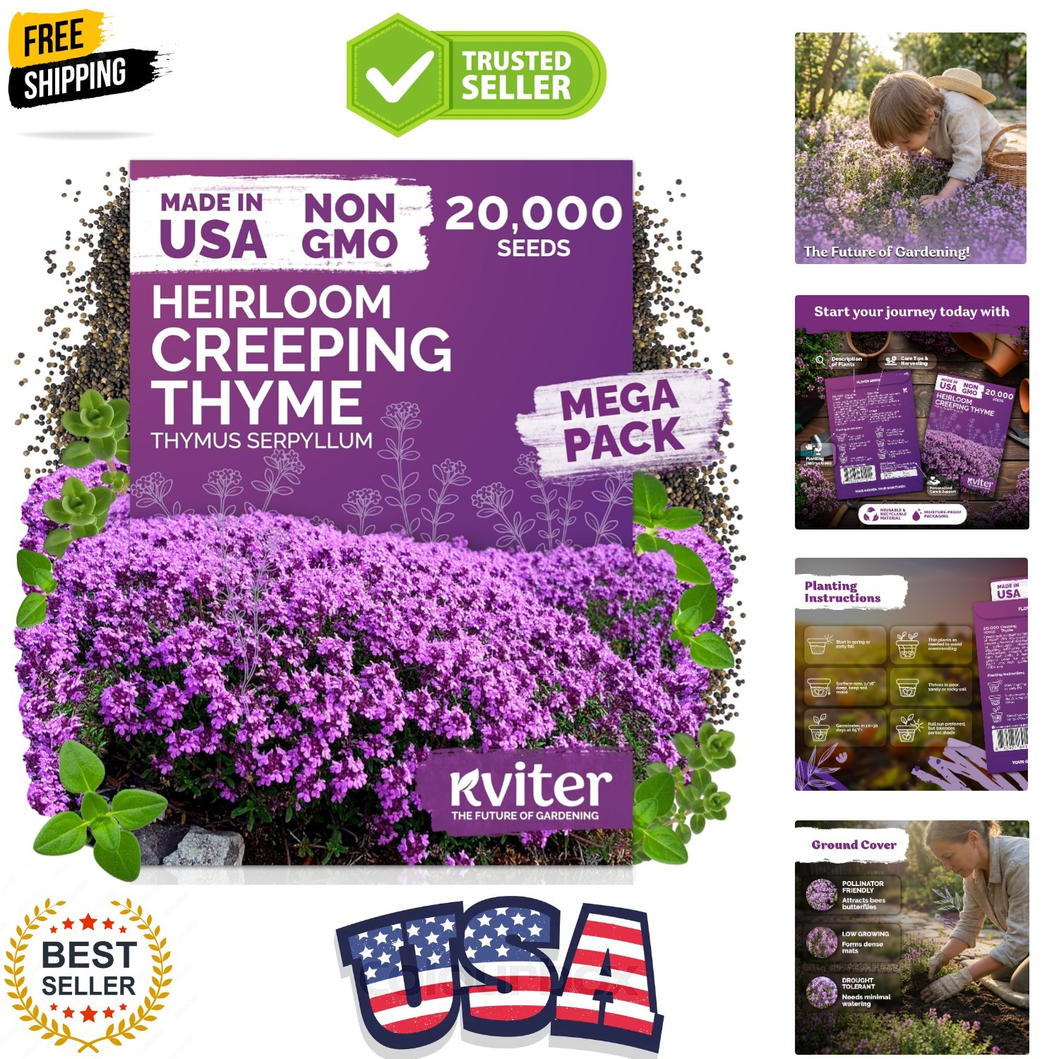 20,000 Creeping Thyme Seeds Thymus Serpyllum – Wild Thyme, Aromatic Ground Co…