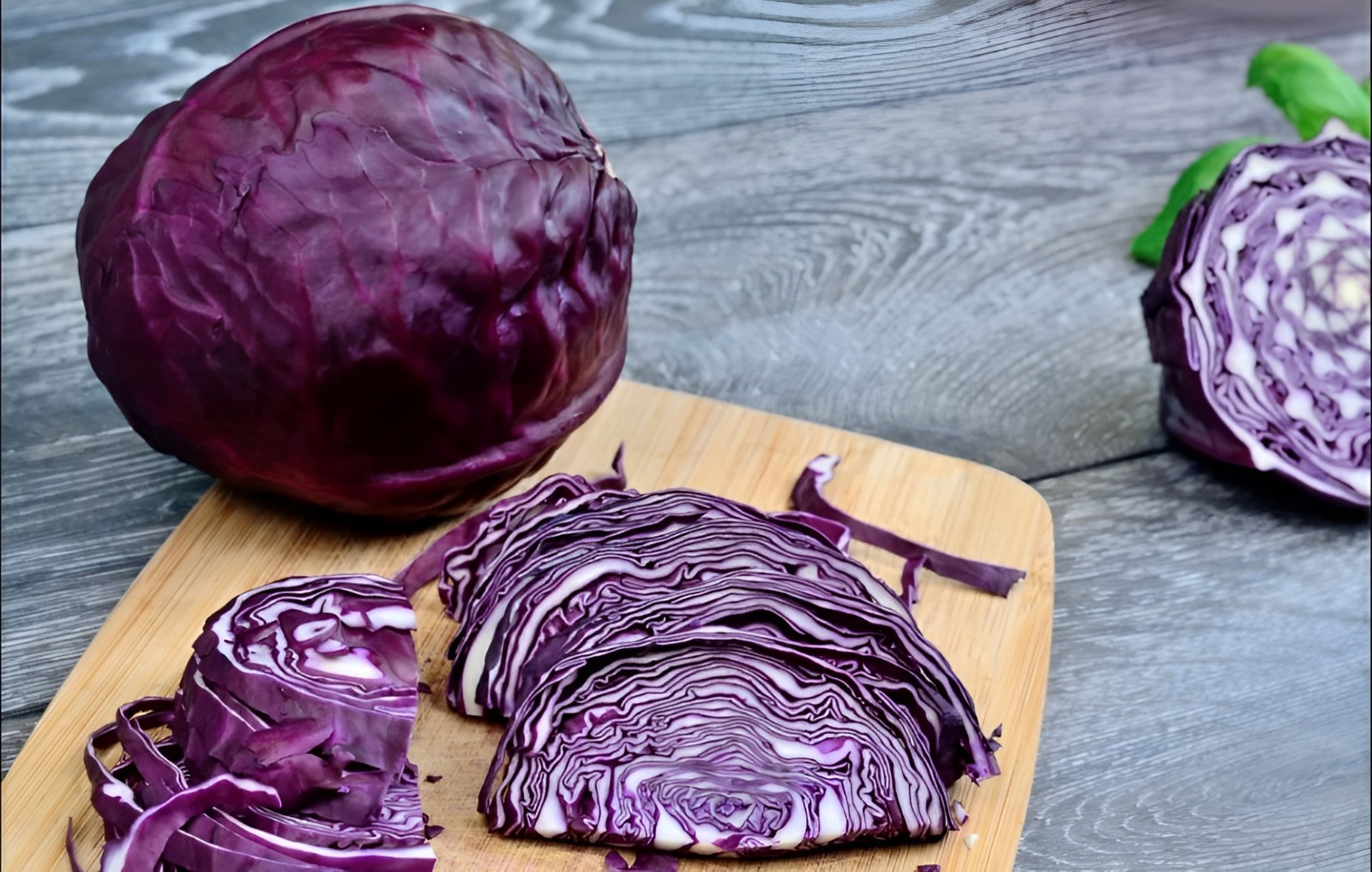 600 Heirloom Red Acre Cabbage Seeds – Classic Purple Cabbage Crisp&Tender NoNGMO