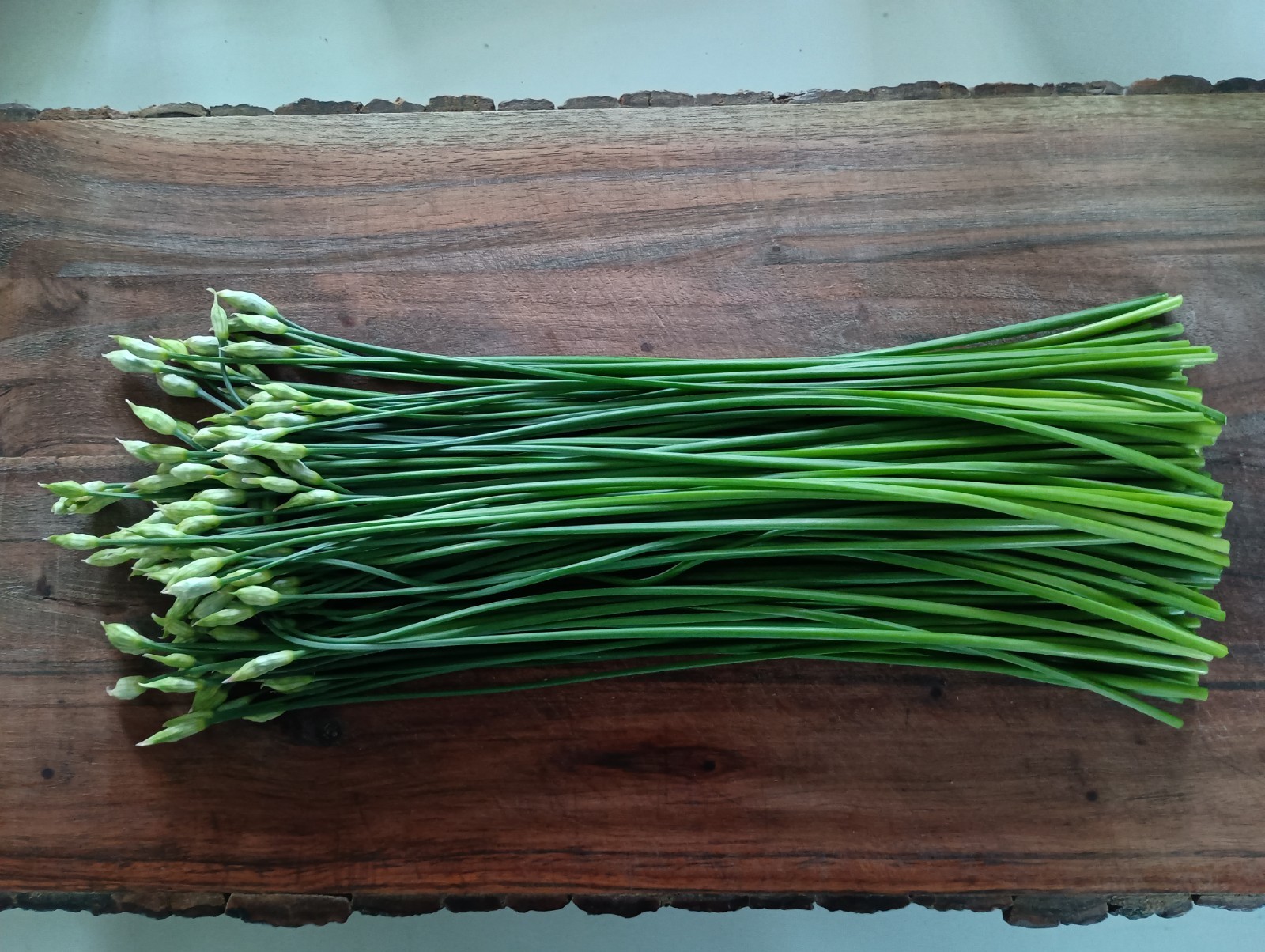 100 Garlic Chives Leek Plant Roots, Allium Tuberosum, Puerros , 韭菜根, 부추