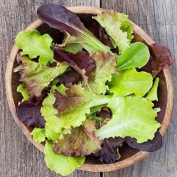 Gourmet Mix Lettuce Seeds | Planting Greens Vegetable Spring Salad Spinach 2024