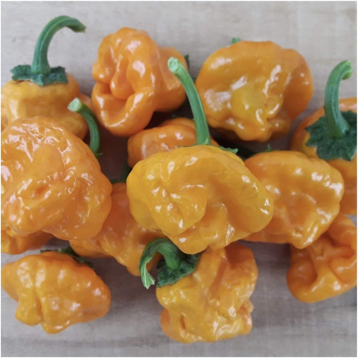 Fresh Heirloom Jamaican Yellow Pepper Seeds – Plant Non-GMO Hot Peppers – 1 Pack