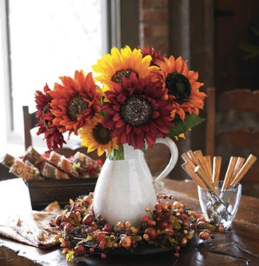 Red Sun Sunflower | Maroon Burgundy Velvet Queen Chocolate Cherry Flower Seed