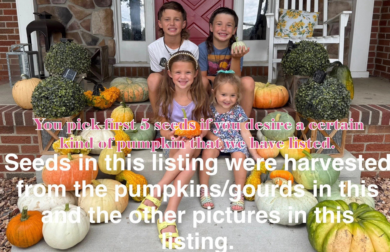Variety Pumpkin Seeds(30ct):Jarrahdale:stacker:fairytale:cinderella:unique:gourd