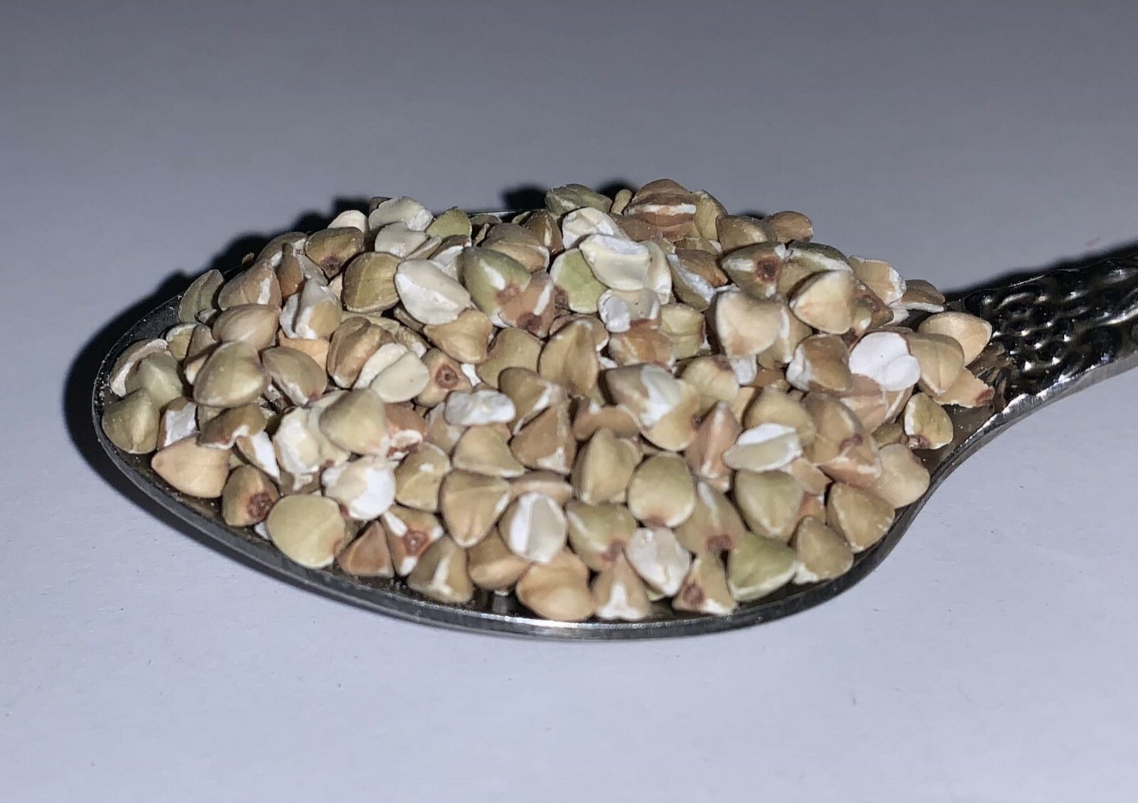 280 Organic BUCKWHEAT SEEDS, US Seller Non- Gmo usps Shipping!