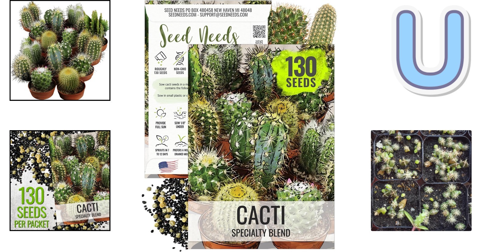 Sustainable Heirloom Cactus Seeds – 130 Seeds for Your Stylish Indoor Oasis