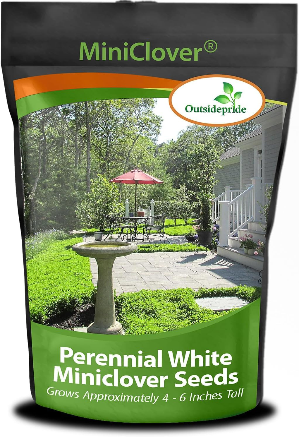 Perennial White Miniclover Seed – 1 Lb. Dwarf, Small-Leaved, Drought & Wear-Tole