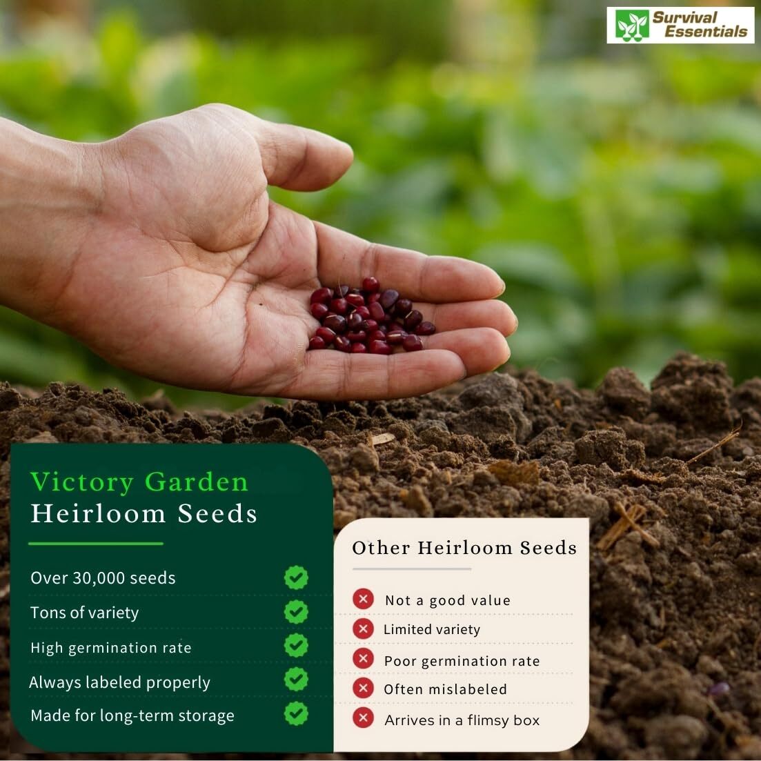Garden Seeds Vegetable Variety Pack for Planting – Grow 125 Varieties of Heir…