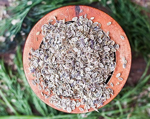 Dill Seeds Whole 3 lbs – Kosher, Raw, Vegan, Bulk Herbs for Cooking & Baking
