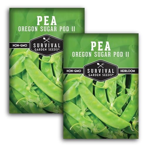 Oregon Sugar Pod II Snow Pea Seeds for Planting – Crisp Edible Pods, High 2