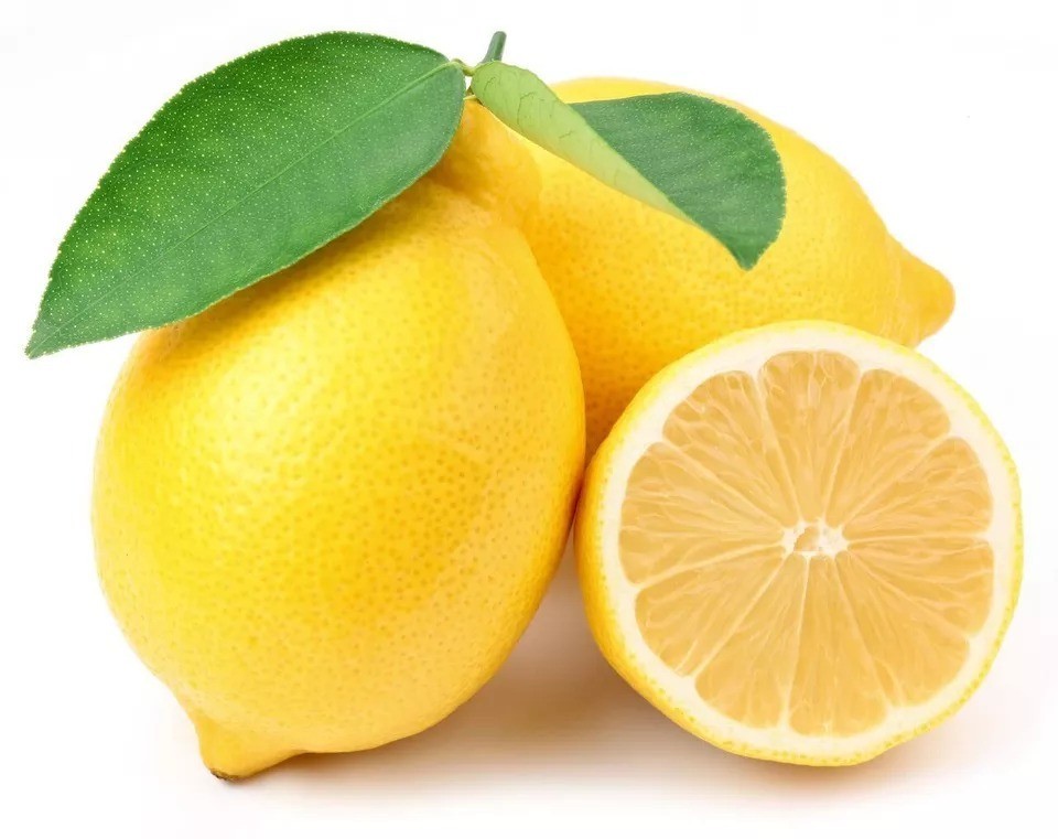 25 Lemon Tree Seeds – Grow Juicy Citrus Indoors or Outdoors in Pots or Gardens
