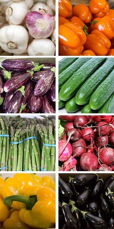 NON-GMO Vegetable Seeds 21 Variety Garden Emergency Survival Heirloom Seed Kit