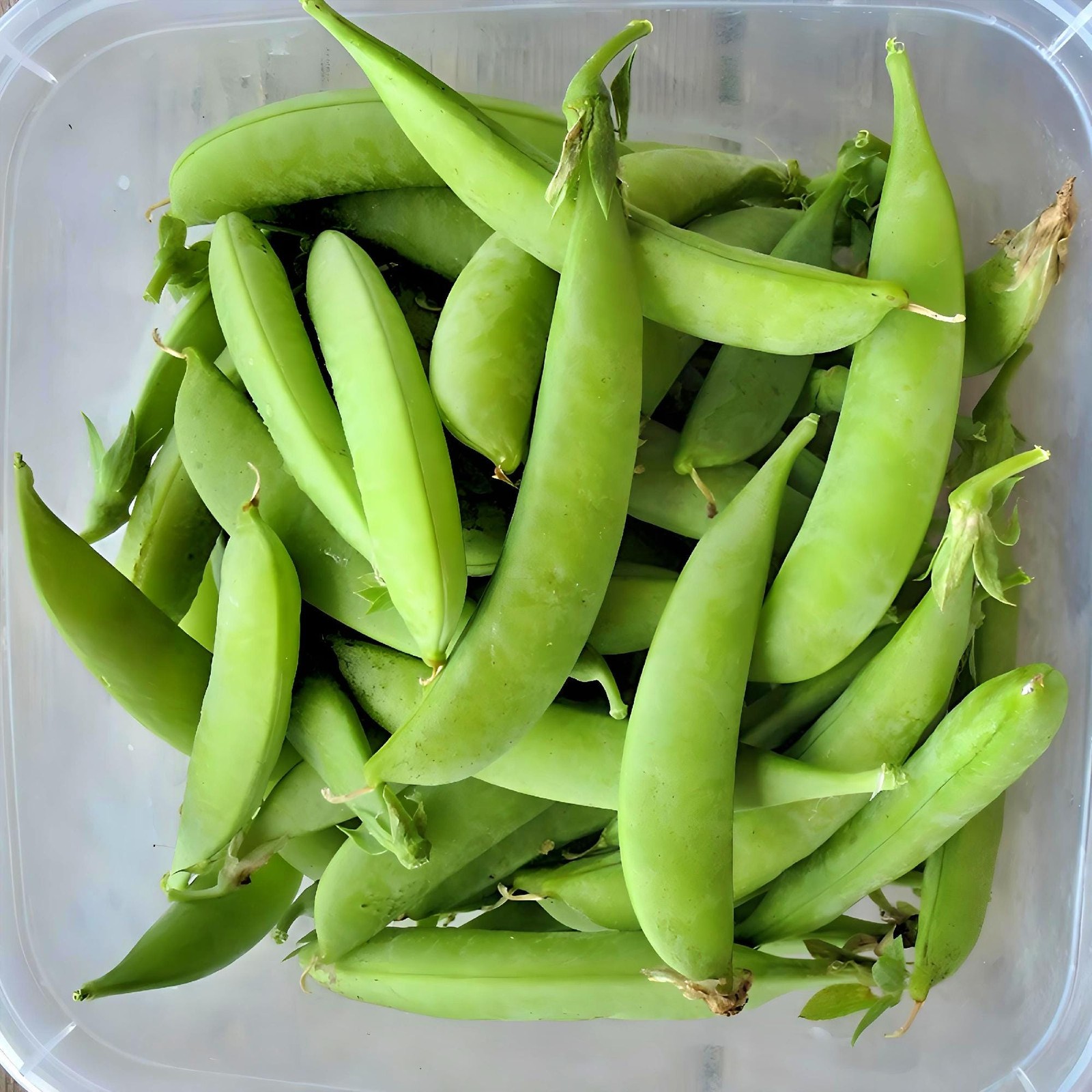 Amish Snap, Peas ABS