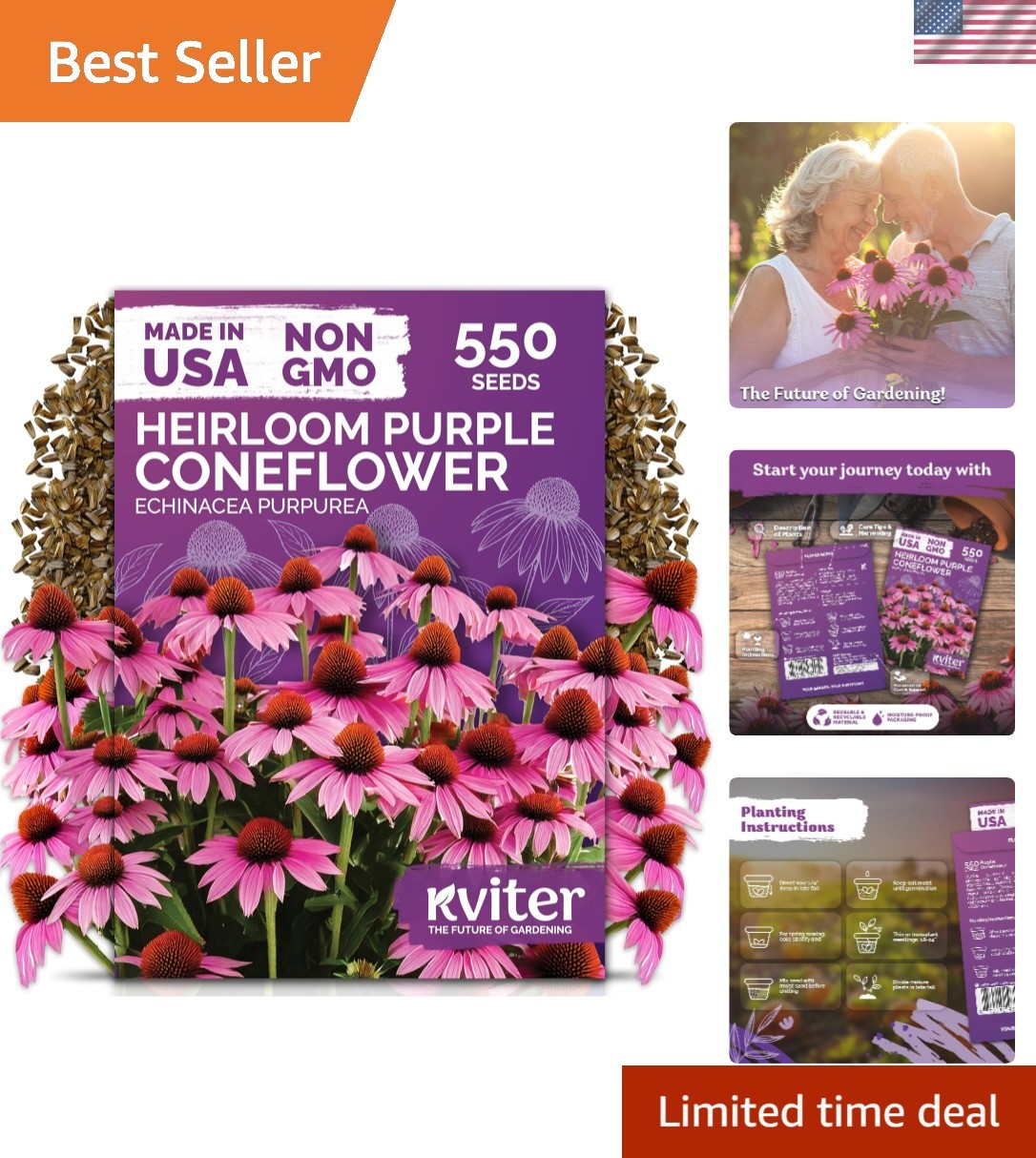 550 Echinacea Purpurea Seeds – Vibrant Purple Coneflower for Pollinator Gardens