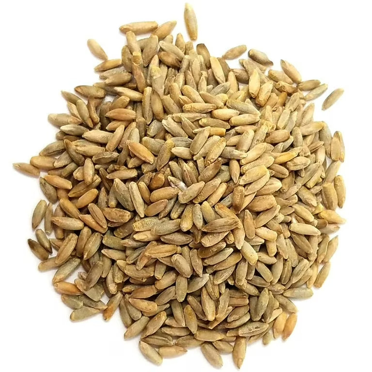 Cat Grass Mix Seeds – Organic Wheat, Barley, Oats & Rye – Easy Grow Pet Treat