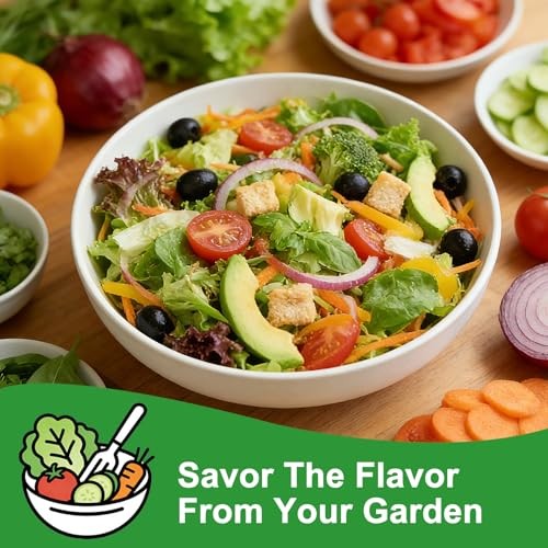 Lettuce Seeds, 10 Varieties Individual Packs, 40000+ Non-GMO Heirloom