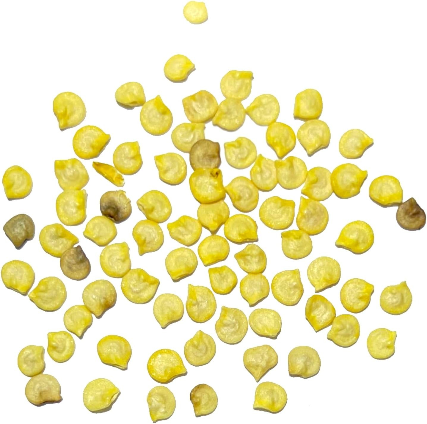 Fresh Heirloom Jamaican Yellow Pepper Seeds – Plant Non-GMO Hot Peppers – 1 Pack