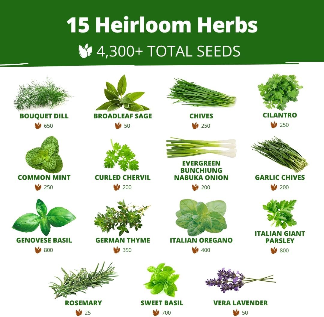 HOME GROWN Herb Seeds for Planting 15-Pack Massive Seed Count 4,300+ Seeds Non-G
