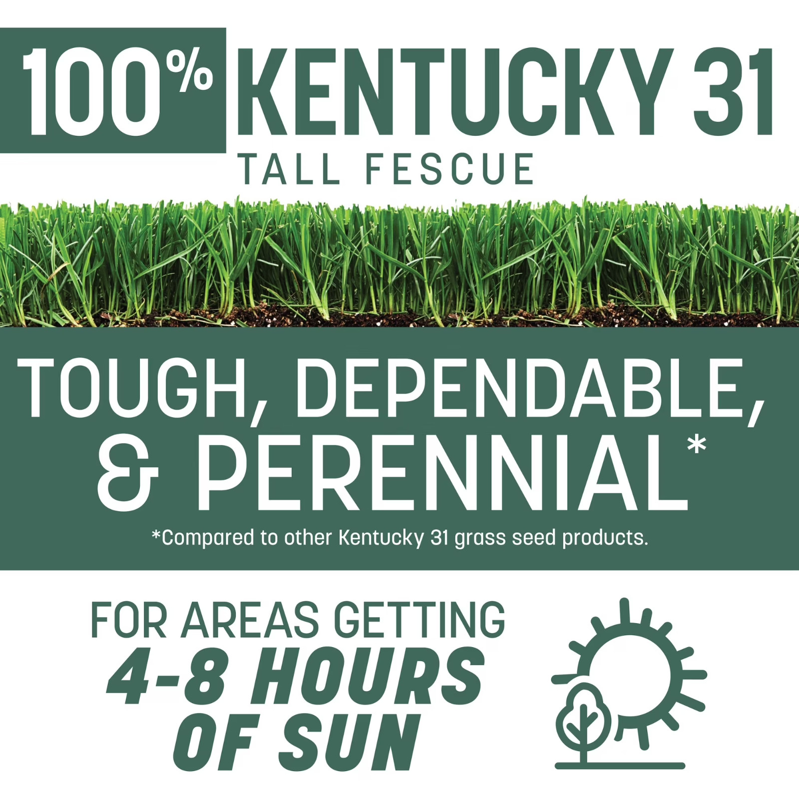 Pennington Kentucky 31 Tall Fescue Grass Seeds Sun Partial Shade Lawn 7 lb | New