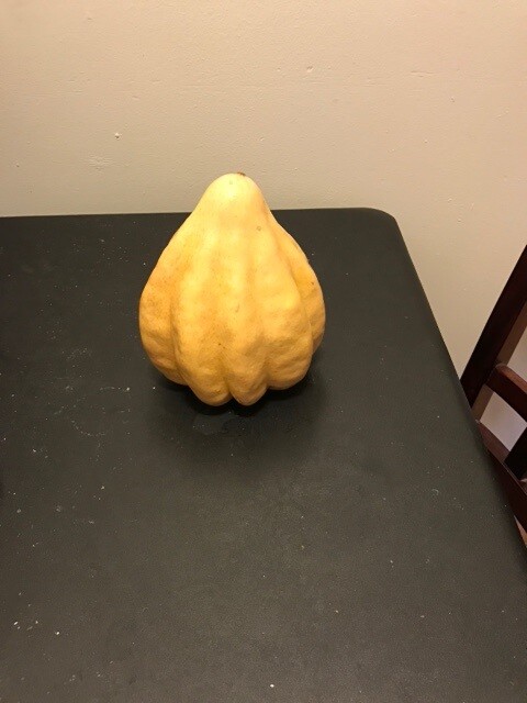 10 fresh Seeds Thelma Sanders Acorn Winter Squash Heirloom Rare
