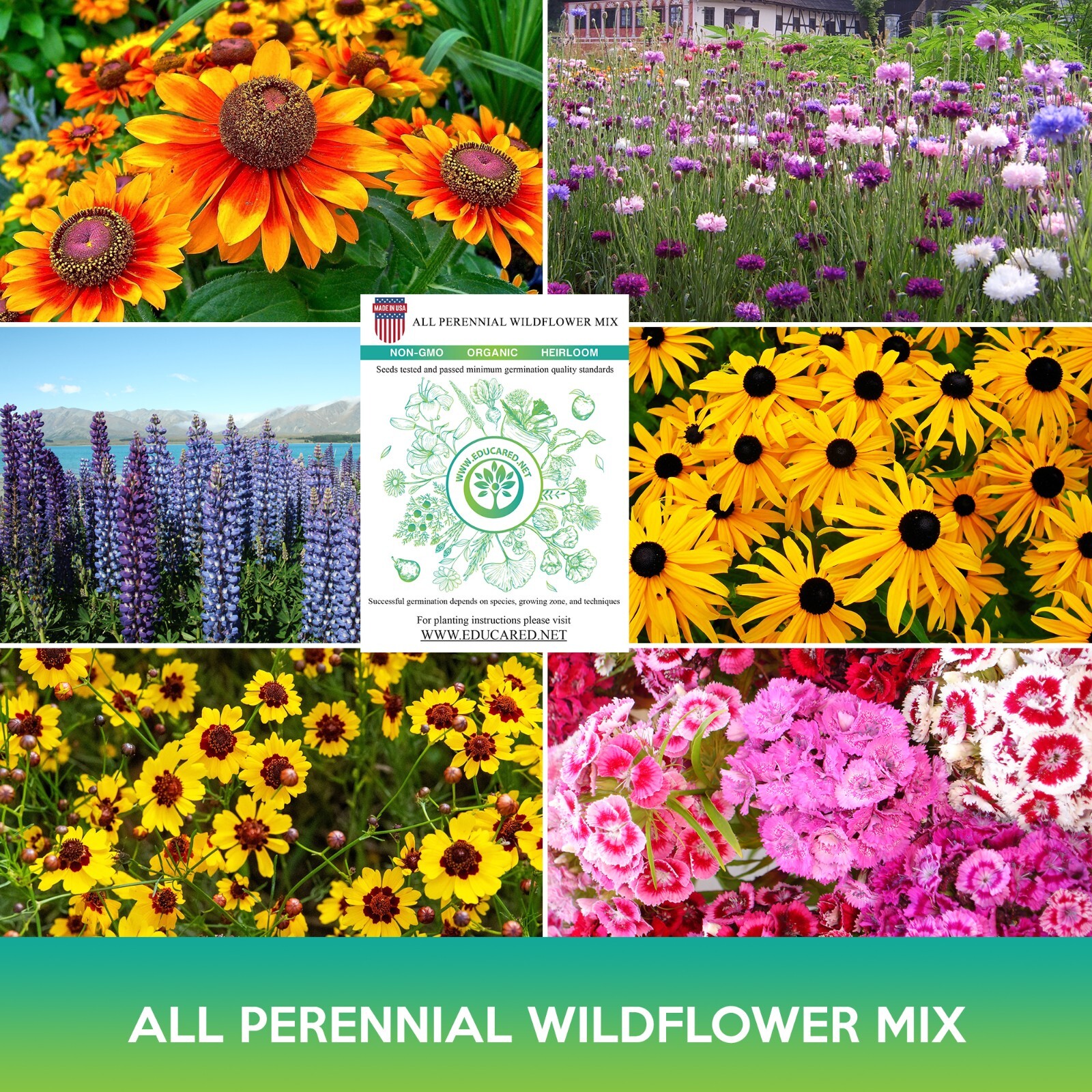 All Perennial Wildflower Mix Seeds, Combined Shipping on 500+ Seed Varieties!