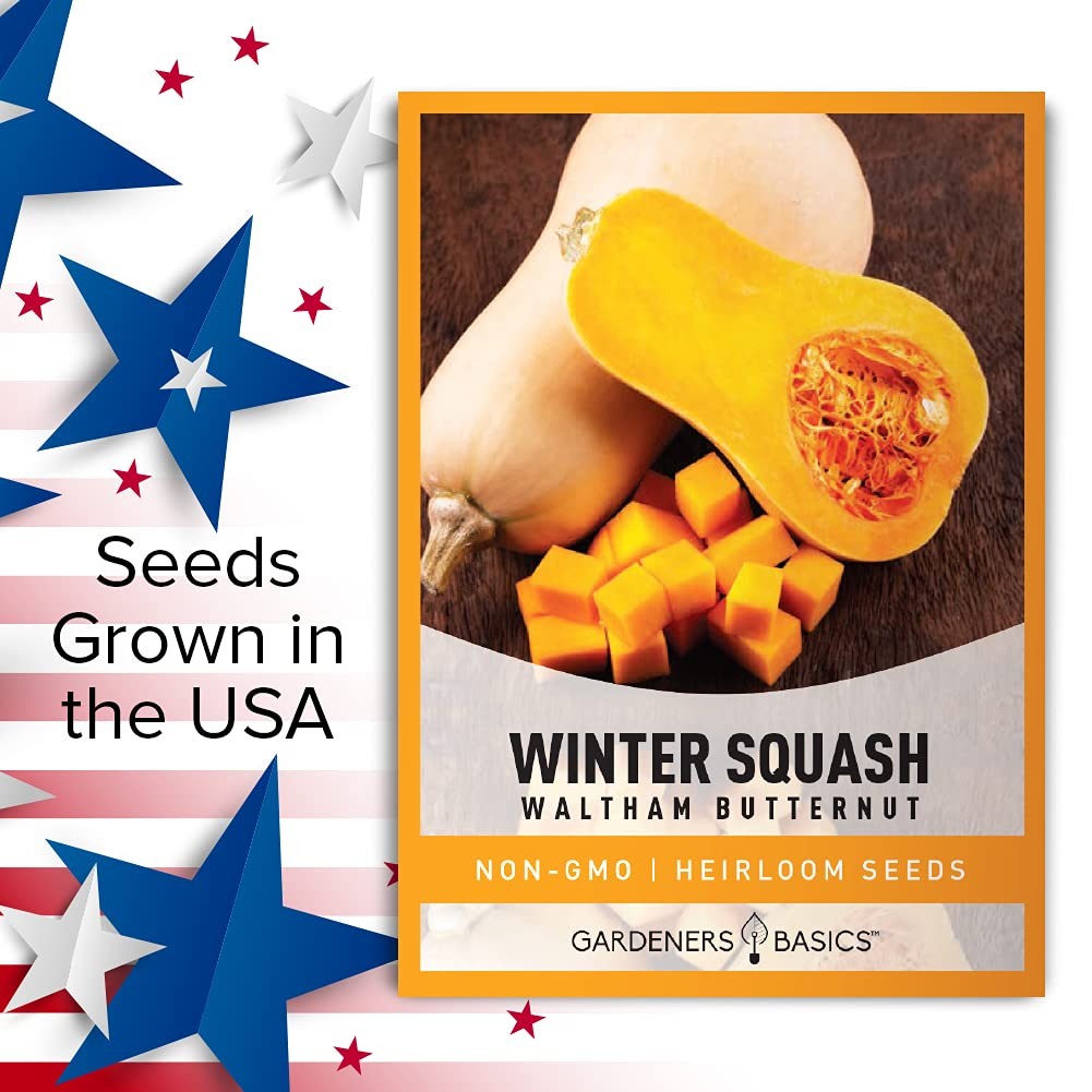Gardeners Basics, Butternut Squash Seeds for Planting – Waltham Heirloom Non-…
