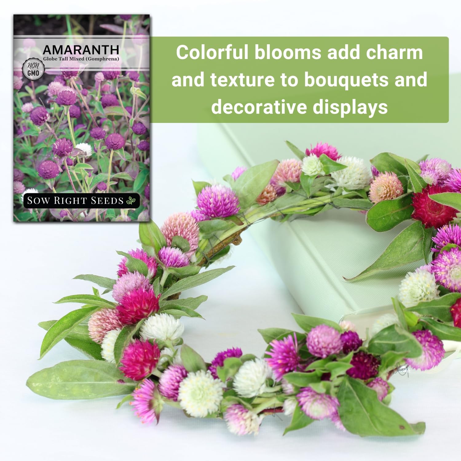 – Tall Mixed Globe Amaranth Seeds for Planting – Non-GMO Heirloom Packet with…