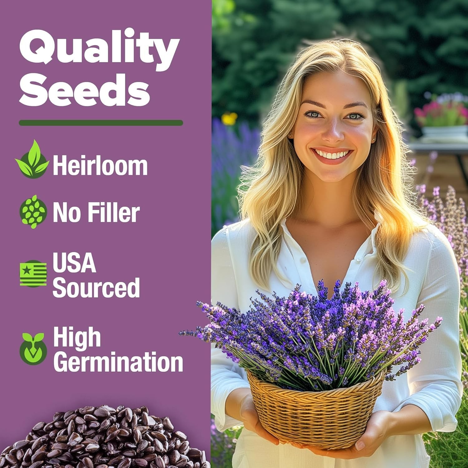 English Lavender Seeds Non-GMO – Indoor/Outdoor with Comprehensive Grow Guide