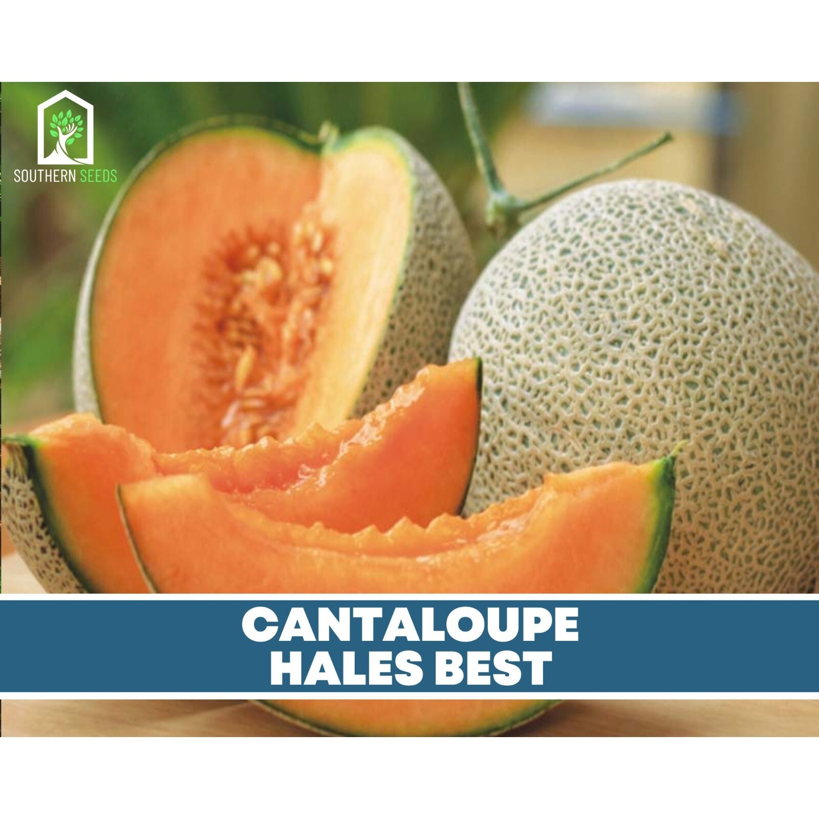 Melon Seed Collection – Watermelon, Cantaloupe, Honeydew – Heirloom Seeds