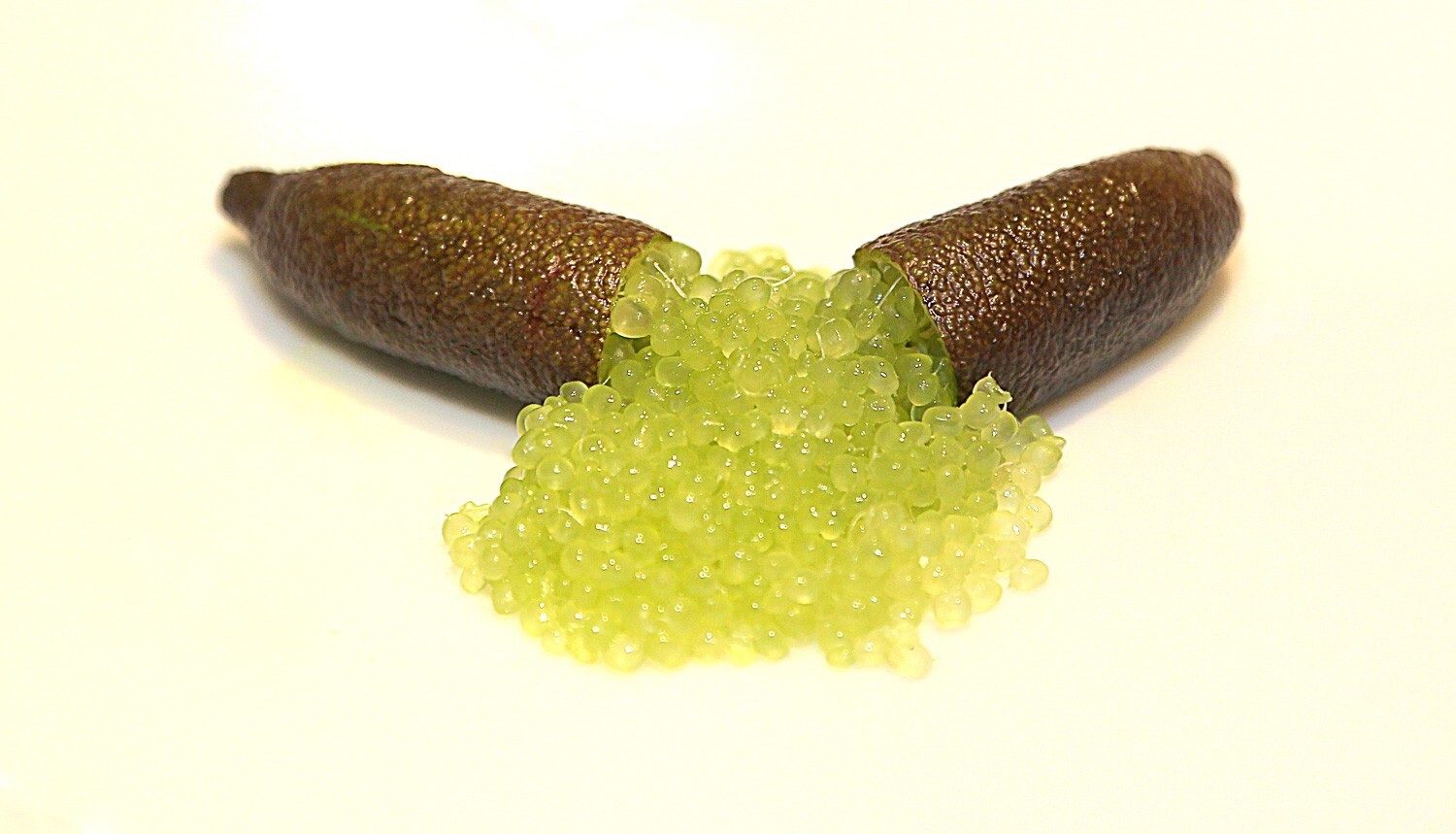 Rare ALSTONVILLE Australian Finger Lime- 3 cuttings