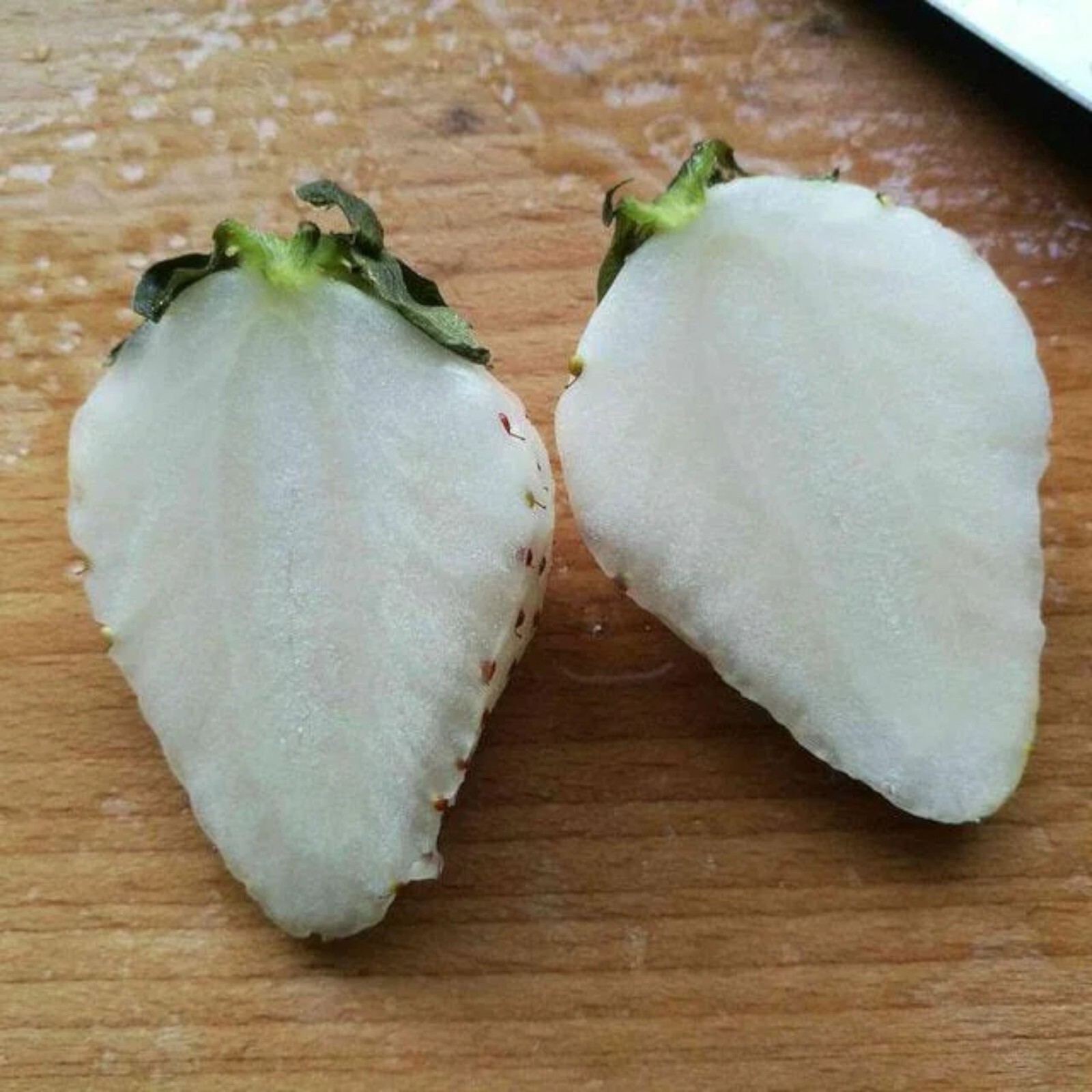 Milk Strawberry Seeds – 200 Seeds – Non-GMO Perennial Variety for Home Gardens